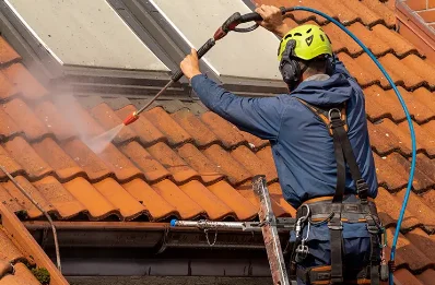 Démoussage et hydrofuge de toiture à Roisey